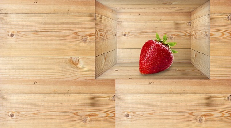 קורס פוטושופ אונליין או בכיתה? בדוק מה מתאים לך